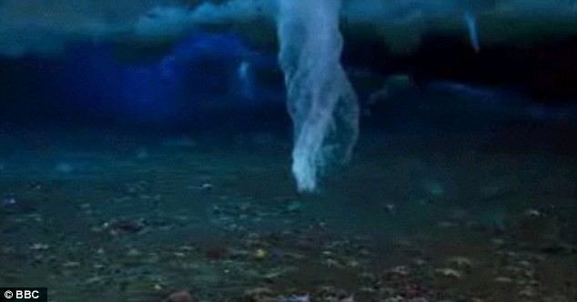 Những hình ảnh ghi lại được từ bên dưới đáy biển cho thấy, những nơi xoáy nước băng đi qua đều để lại vô số những con sao biển, nhím biển đã chết và những vùng nước biển trắng đục vì có nồng độ muối cao.